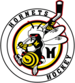 Smaller Hornets Logo